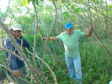 Agricultores de Prado são beneficiados por Plano de Ação Territorial da Mandiocultura